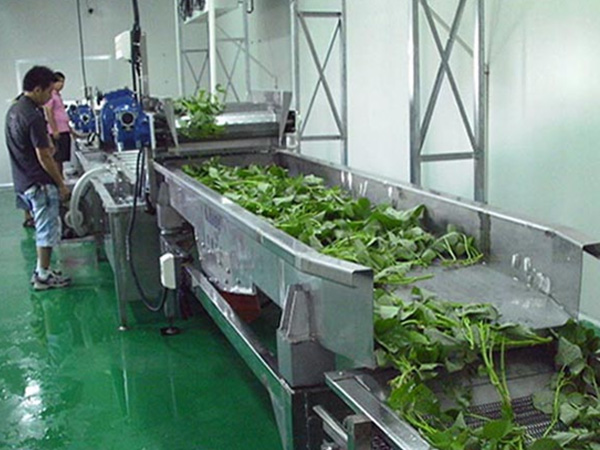 果蔬清洗风干流水线